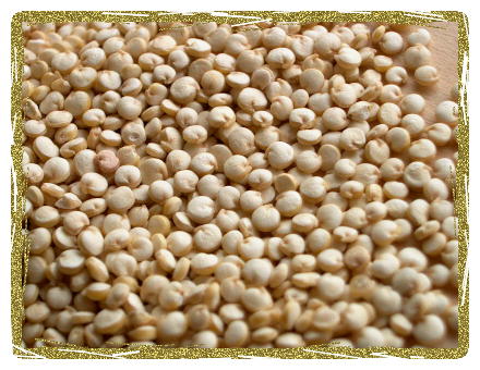 GRAINS & RICE